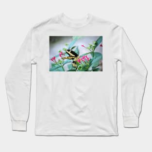 Giant Swallowtail On Pink Flower Long Sleeve T-Shirt